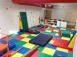 Image result for Northern Gymnastics Club CIC