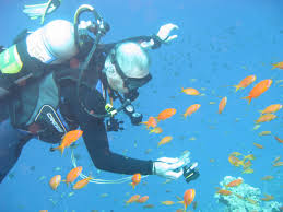 Image result for Teddington Sub-Aqua Club