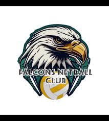 Image result for Falcons Netball Club