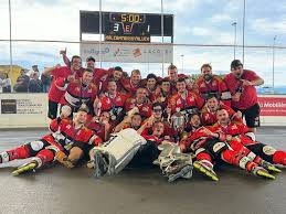 Image result for Havering Skater Hockey Club