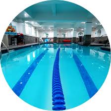 Image result for York University Pool Club