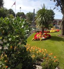 Image result for Freckleton Cc