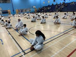 Image result for Waltham Abbey Shotokan Karate Club