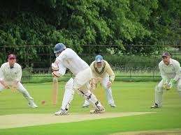 Image result for Luton Nomads Cricket Club