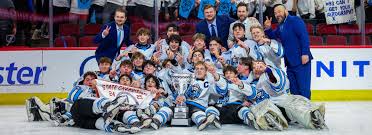 Image result for Oswestry Hockey Club