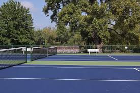 Image result for BrownMoor Park Tennis & Social Club