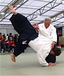 Image result for Marsden martial arts