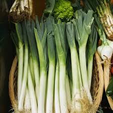 Image result for Porree