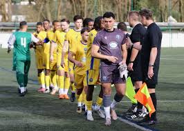 Image result for Afc Ewell