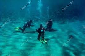 Image result for Three Seas Diving