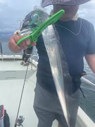 Image result for 全員28号CP