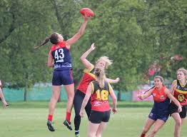 Image result for Wandsworth Demons