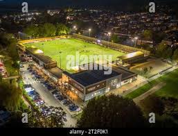 Image result for Dorking Football Club Limited