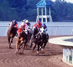 Image result for The Horse Racing Club