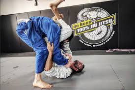 Image result for Derwent Jujitsu Academies