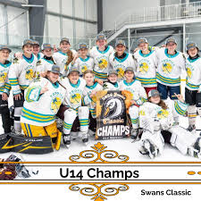 Image result for Swan`s Hockey Club