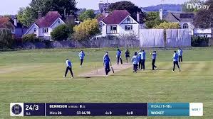 Image result for Chichester Priory Park Cc