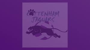 Image result for Tongham Netball Club