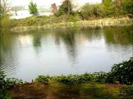 Image result for Orpington District Angling Association