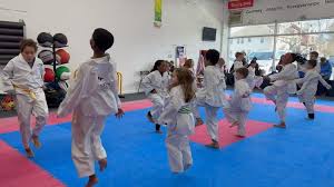Image result for New Milton Taekwondo Club