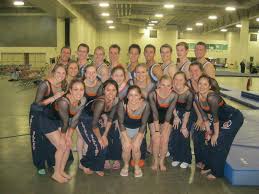 Image result for Ingleby Gymnastics Club