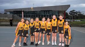 Image result for Newdigate Netball Club