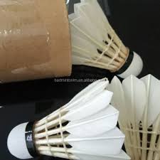 Image result for Feathers Badminton- Leatherhead