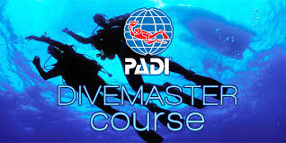 Image result for Divemaster Scuba