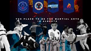 Image result for Phoenix Martial Arts