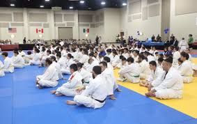 Image result for Halton Inclusive Judo Club