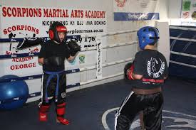 Image result for Scorpion Martial Arts Academy