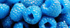 I Could Eat: Sour Patch Blue Raspberry | Tech Olive