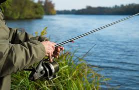 Image result for Thames Valley Angling