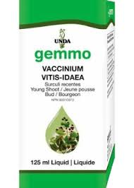 Attēlu rezultāti vaicājumam “Vaccinium vitis-idaea bud”