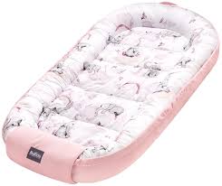 Attēlu rezultāti vaicājumam “Diaperis boleti nest”