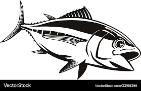 Image result for Thunnus obesus