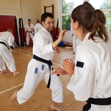 Image result for Harrow Shorinji Kempo