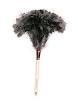 Feather duster - Wikipedia, the free encyclopedia