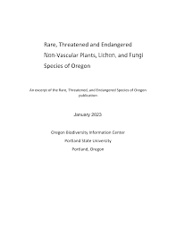 Attēlu rezultāti vaicājumam “Campylophyllum sommerfeltii”