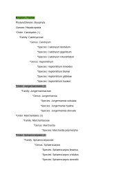 Attēlu rezultāti vaicājumam “Jungermannia subulata”