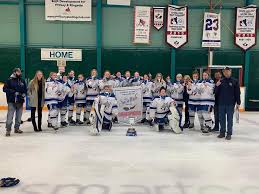 Image result for Sudbury Hockey Club