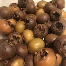 Attēlu rezultāti vaicājumam “Mespilus germanica”