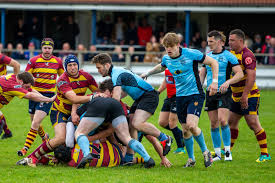 Image result for Ipswich Ym Rugby Union Football Club