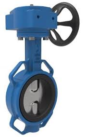 Картинки по запросу белку зажевало в диск