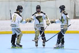 Image result for Dundee Ducks inline roller hockey club