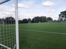 Image result for Wyvern Dragons Badminton Club