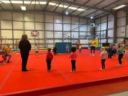 Image result for Harlequin Gymnastics Club
