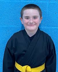 Image result for Junsui Shotokan Karate Do