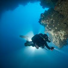 Image result for Le Clique Divers