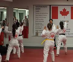 Image result for York University Taekwondo Club